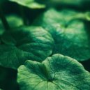 фиолетовый замок - согра ()