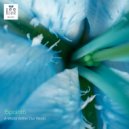 f5point6 - L'Artico Blu
