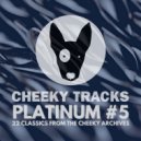 Groove Control & Poomstyles - Such A Feeling (Gary O\'Connor Remix)