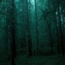 enchanter - forgotten forest ()