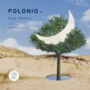 Sam Haskin - Polonio (Cosenza Remix)