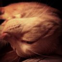 Infinite Third - Innermost Center