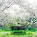 Mary - Tranquil White Rose (Original Mix)