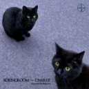Boringroom & HeadSick - Charlie (HeadSick Remix)