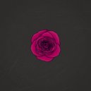 aeseaes - Youth ()