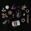 SNENiE - Tenue - Acústico ()