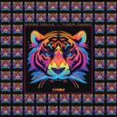 Diego Valle - Simple Secrets