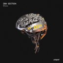 Dim Section - Brains
