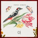 Rsrch Chmcls - Next Chapter