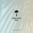 OPID - Organix (Original Mix)