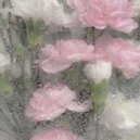 小池星星Annie - 雨后的屋顶花园（温柔纯音乐） (Original Mix)