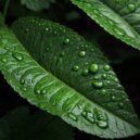 Big Brother Reggae - Shade Of Green (Original Mix)