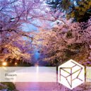 Ka5cade - Blossom