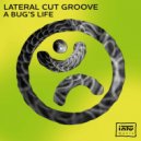 Lateral Cut Groove - Humdinger
