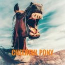 Andrey Sukhanov & Андрей Суханов - cheerful pony ()