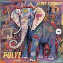 Tamer ElDerini - Polye