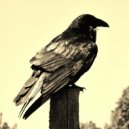 Andrew Duke - CongasBongosTimbales (Original Mix)