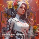 Kinky Sound, Nedisco - Alcamos