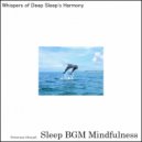 Sleep BGM Mindfulness - A Tranquil Voyage through Mental Training Sounds (Original Mix)