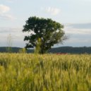 Kristian Trypnick - SunDay ()