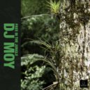 DJ Moy - Party In The Jungle