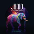 Junio & Luzee - Kika and the Elephant (feat. Luzee)