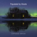 Exposed Brick - The Men Who Stare At Cranes