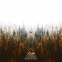 UOAK - In My Mind (Redondo Extended Remix)