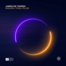 James De Torres - Pixel Pulse (Extended Mix)