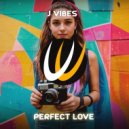 J Vibez - Perfect Love (Original Mix)