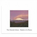 The Ghostly Echoes - Moonlight