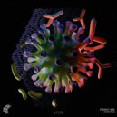 Proxxy (BR) - Infectus