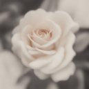 Viktor Vos - Without You
