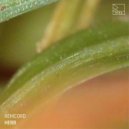 Remcord - Herb