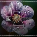 Sandro Puddu - Love Me Again