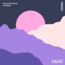 Nacho Bolognani - Journey