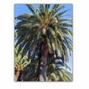 MAXL - A light wave ()