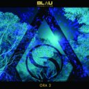 Blau Transition - Psy Helper