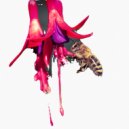 Nayem Music - সুরের মায়া