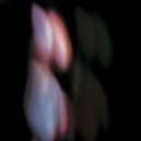 ORDR - Avaritia (Original Mix)