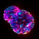 Afnan Prince - Speaking In Tongues (Einmusik Remix)