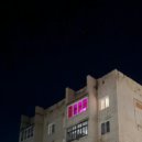 электропастух - когда-нибудь ()