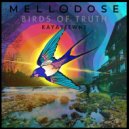 Mellodose - Daily Affirmations ()