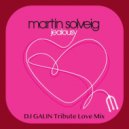 Martin Solveig - Jealousy