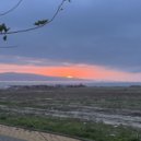 white drunk - твои комплименты ()