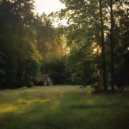 ABanford - Legacy ()