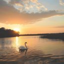 Greendew - Raised By The Elements ()