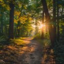 Mermaidbite - Eliminating The Light ()