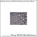 Sleep BGM Mindfulness - Basking in the Mental Health Serenity of Healing Music (Original Mix)
