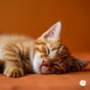 Purry - Whisker Waltz (Original Mix)